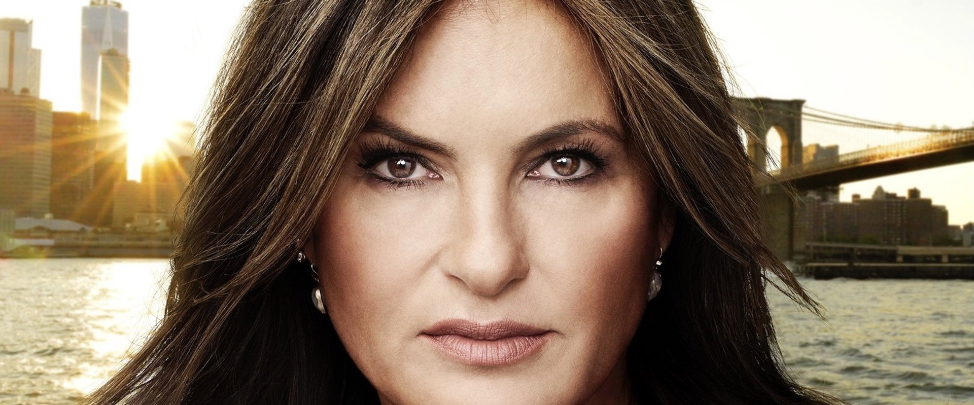 The Paley Center Salutes Law & Order: SVU backdrop