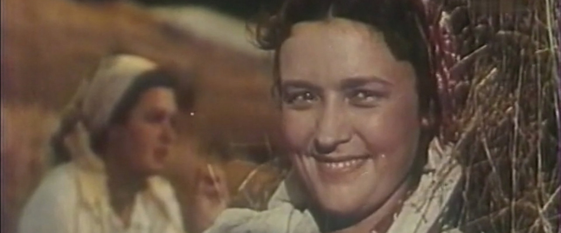 One Lovely Day backdrop