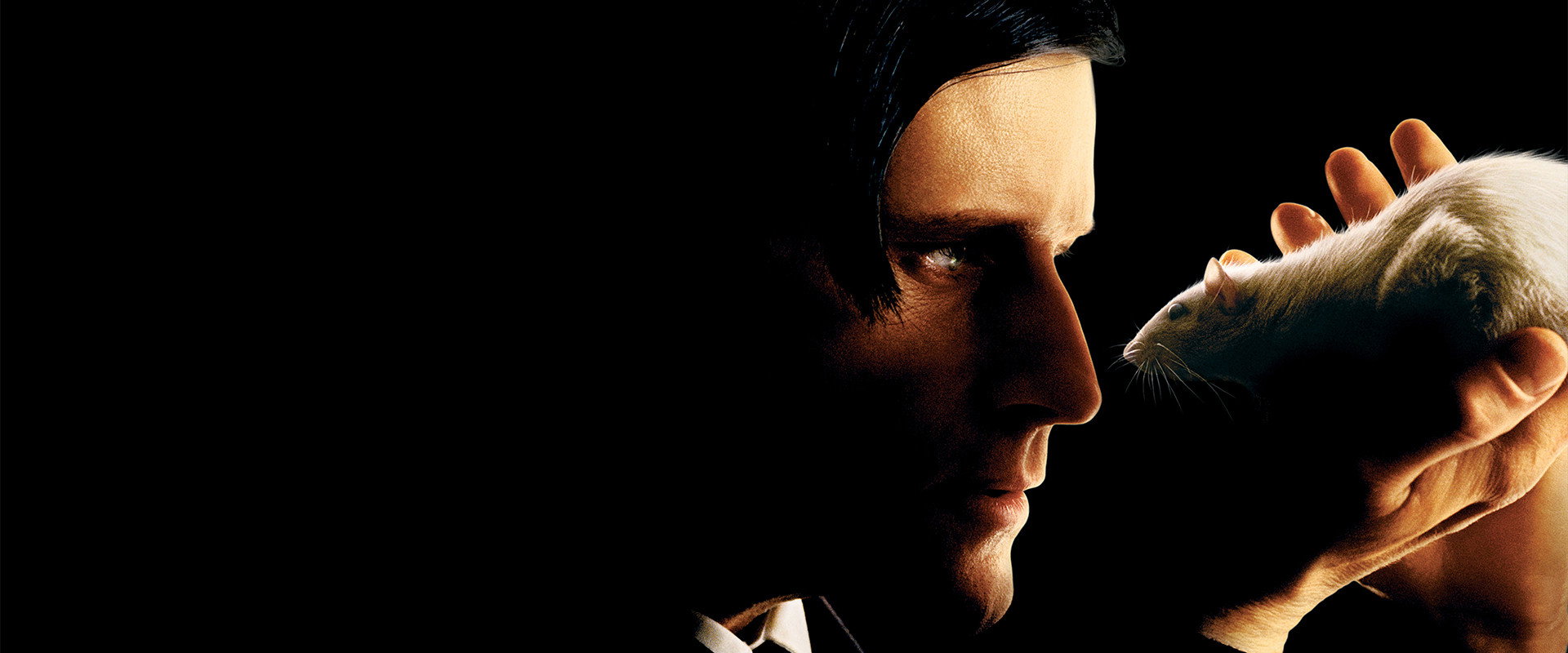Willard backdrop