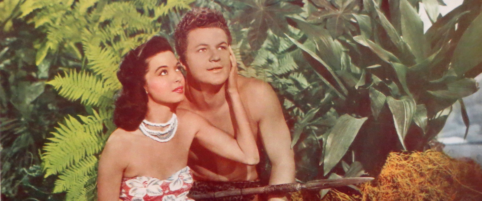 Elephant Stampede backdrop