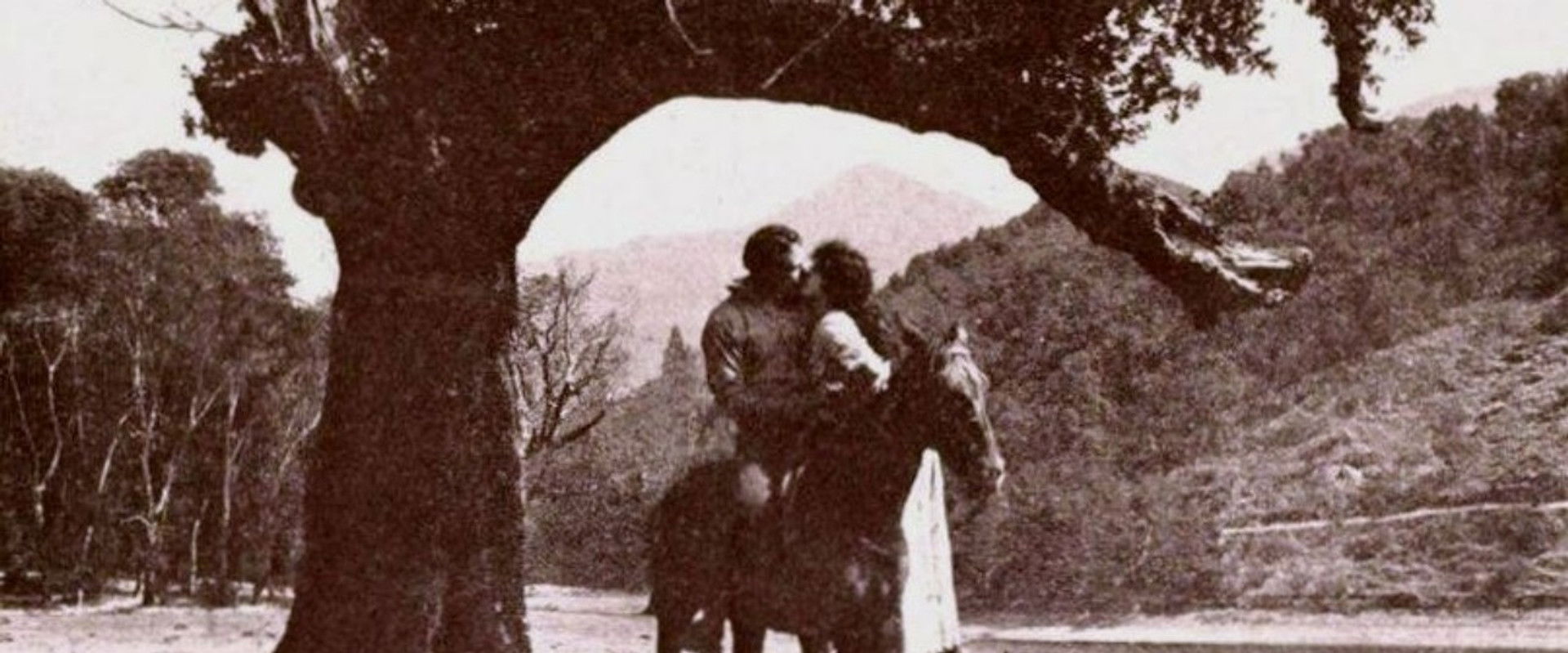 Salomy Jane backdrop