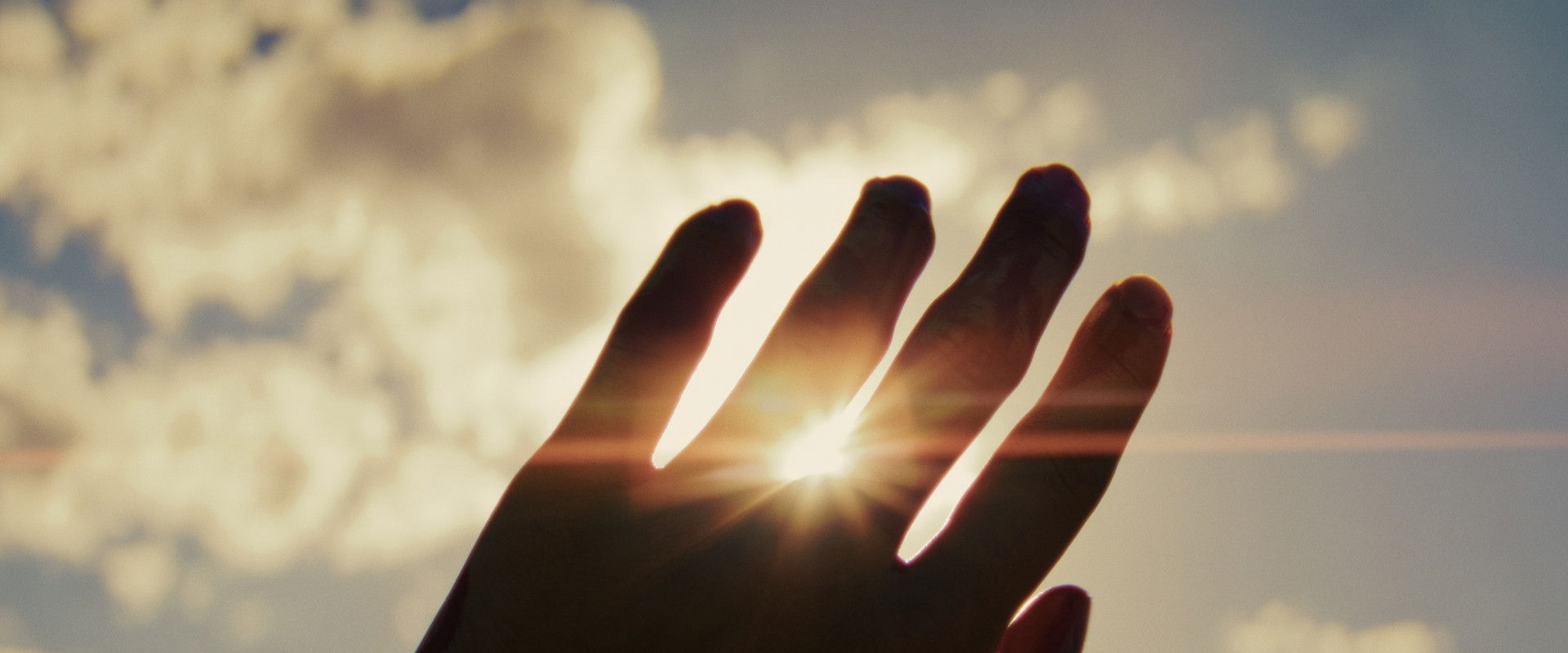The Way of the Wind backdrop
