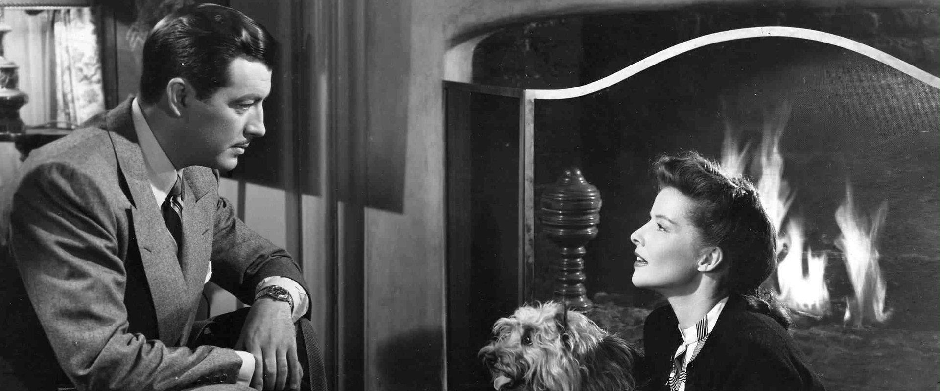 Undercurrent backdrop