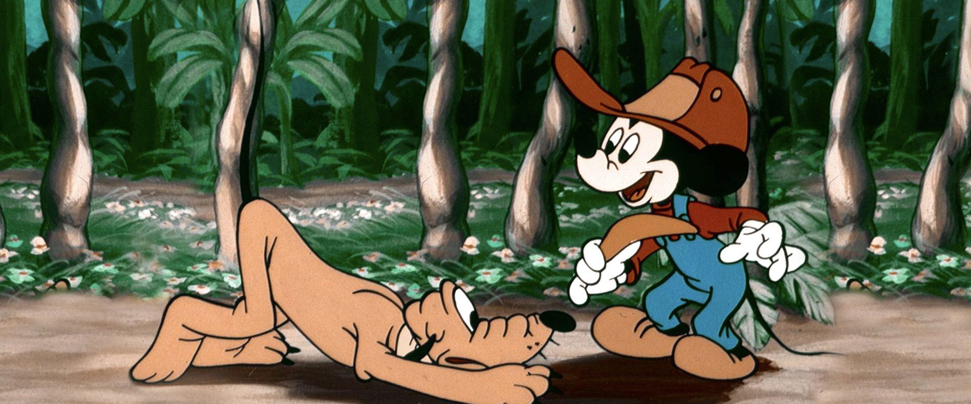 Mickey Down Under backdrop