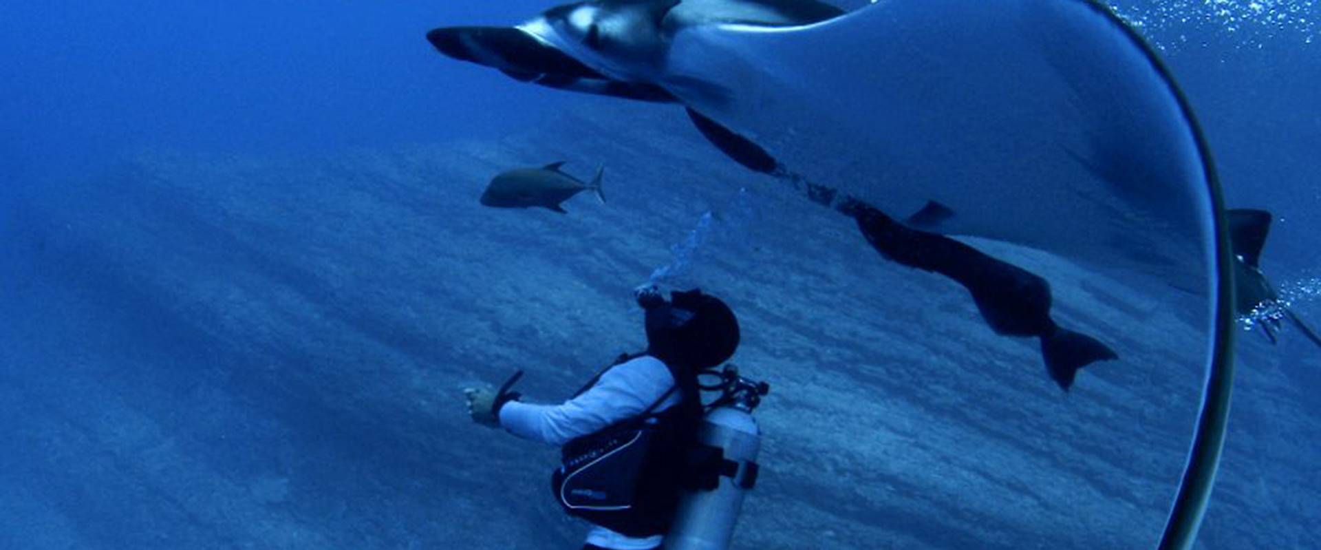 Alien Contact backdrop