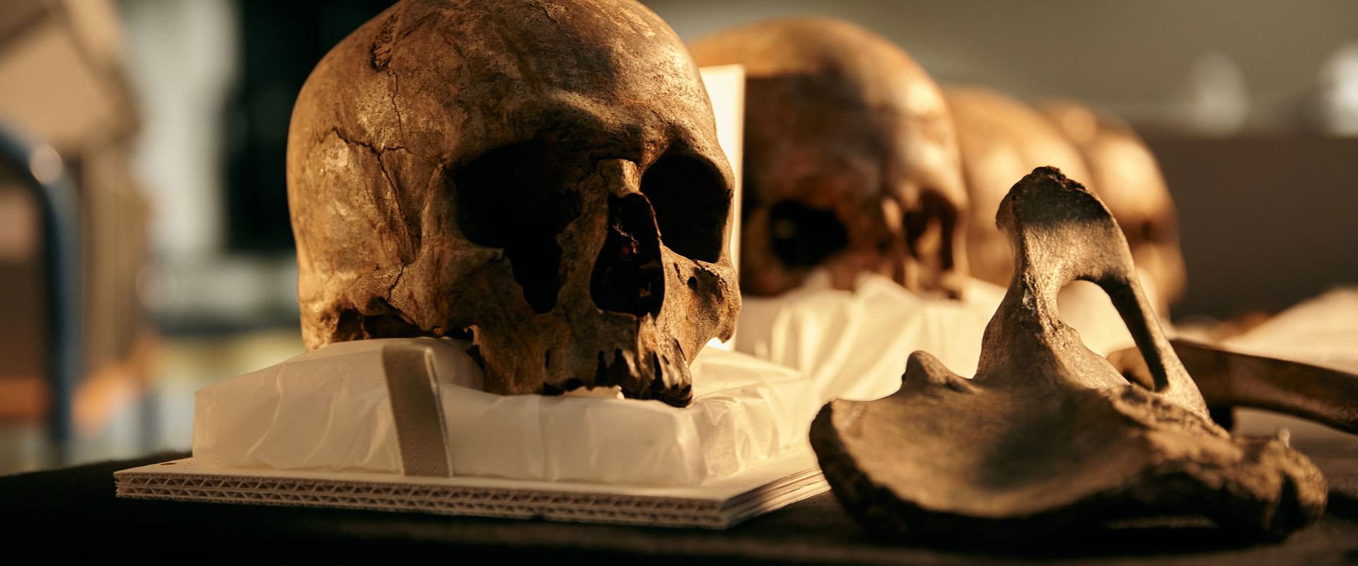 World's First Battlefield backdrop