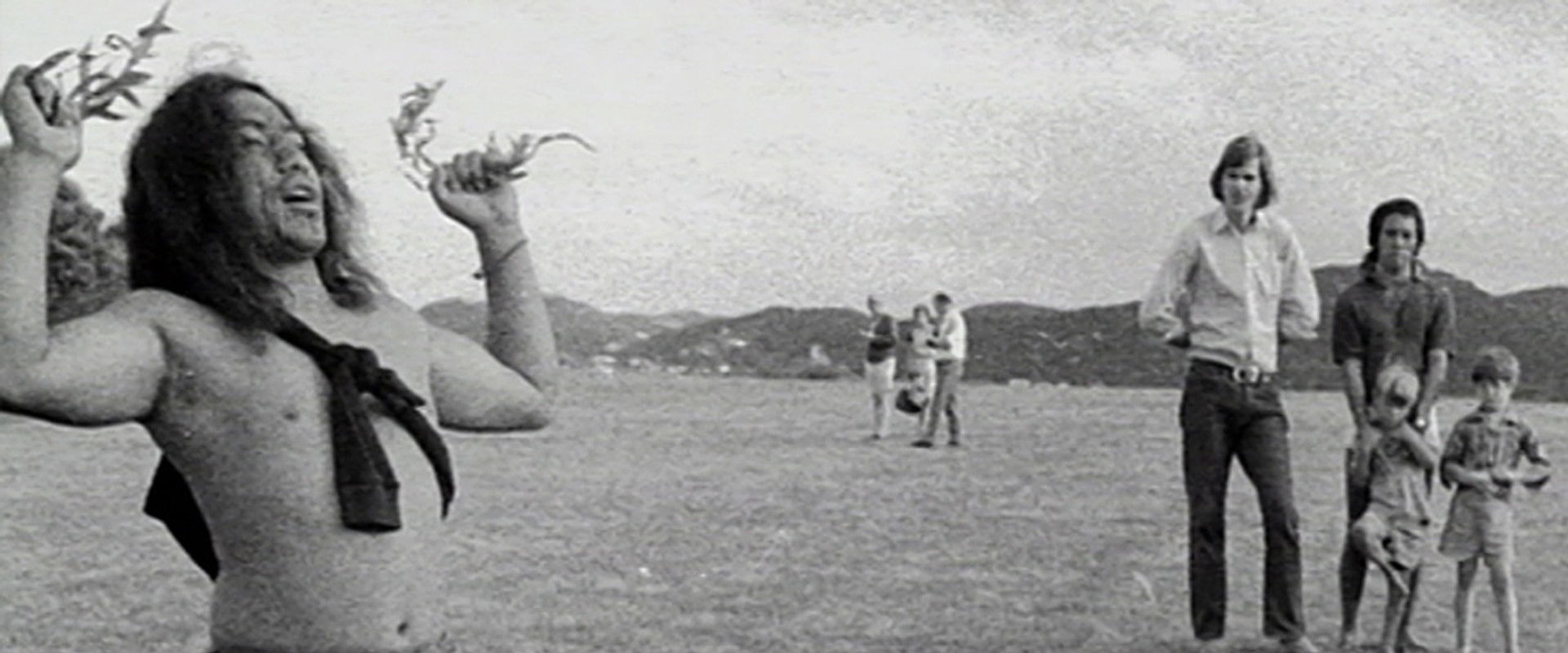 Ngā Tamatoa: 40 Years On backdrop