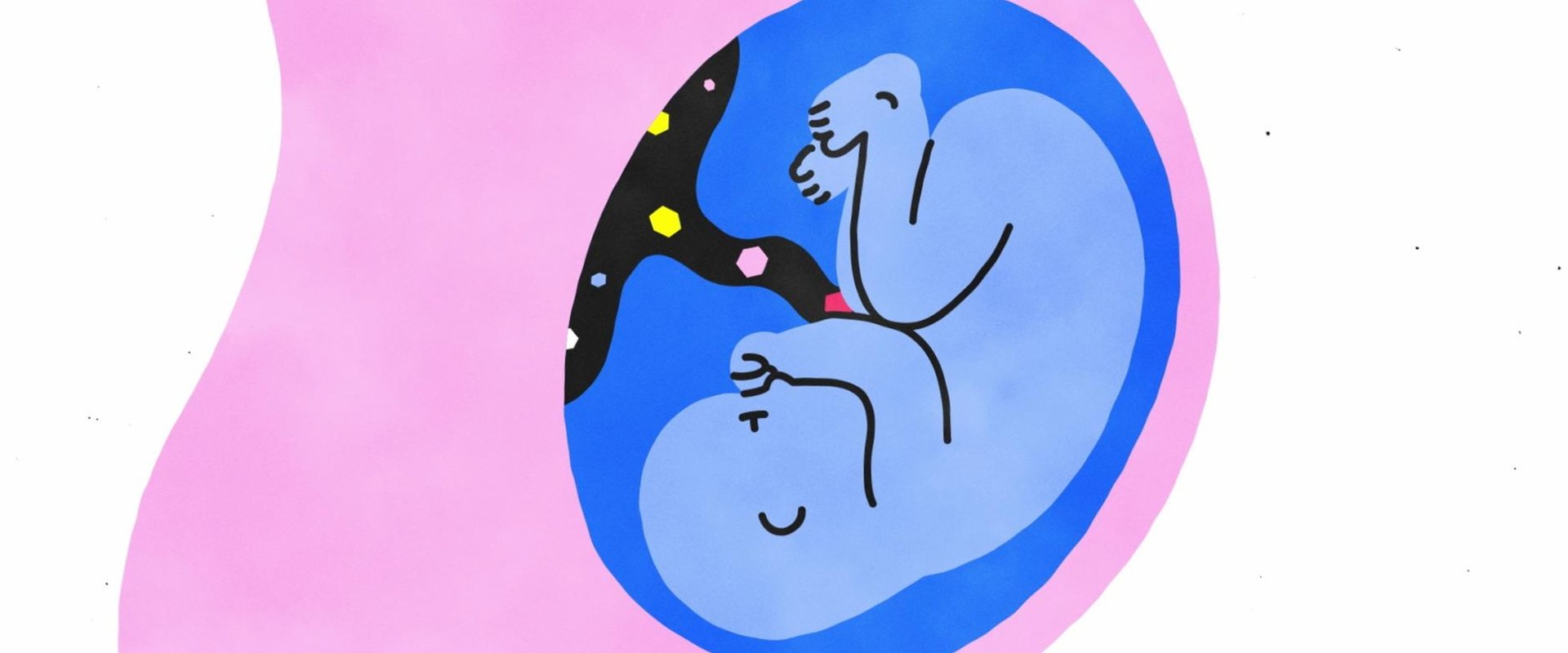Sex, Explained
