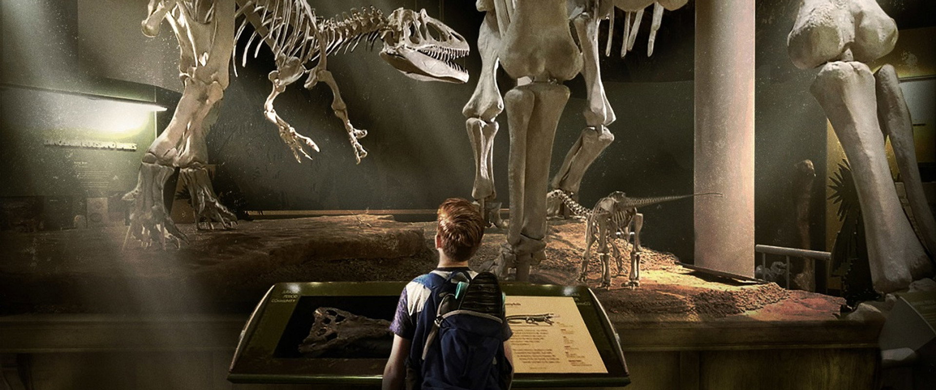 The Adventures of Jurassic Pet backdrop