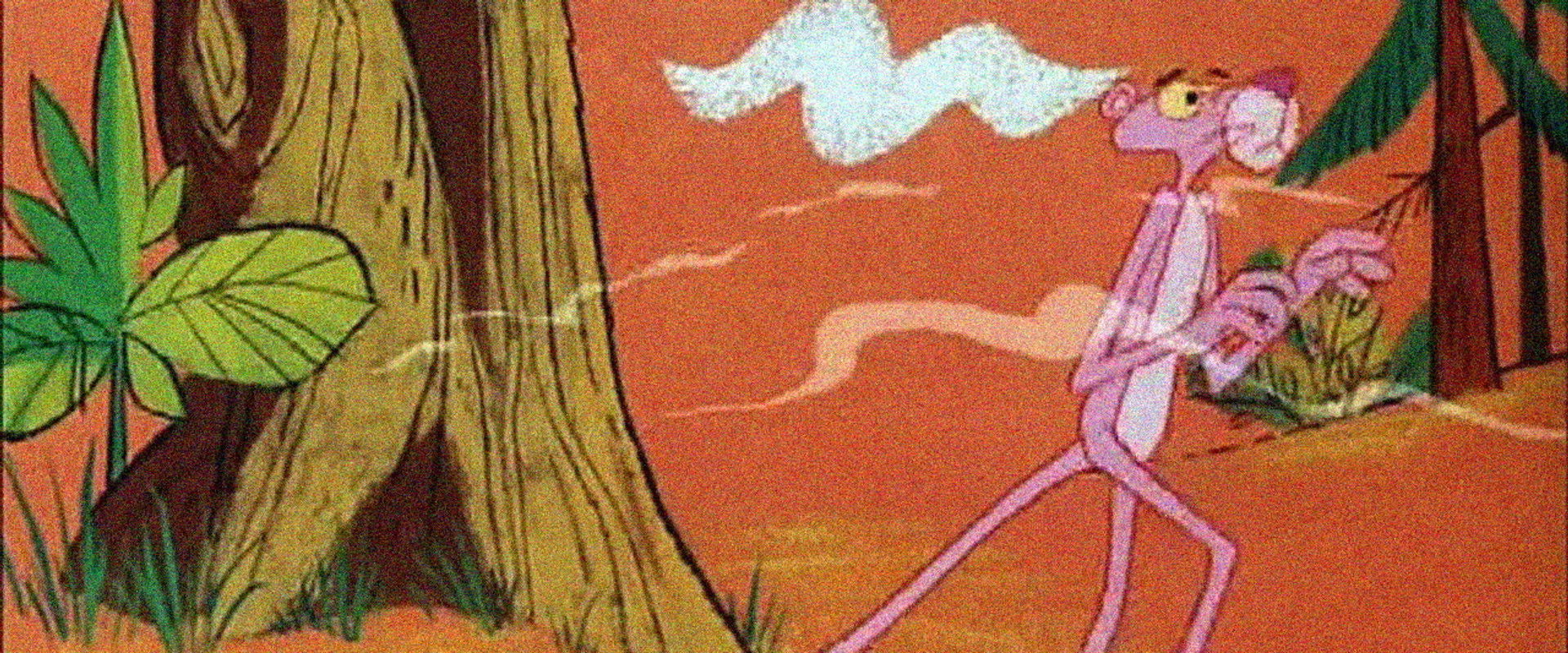 Congratulations It's Pink backdrop