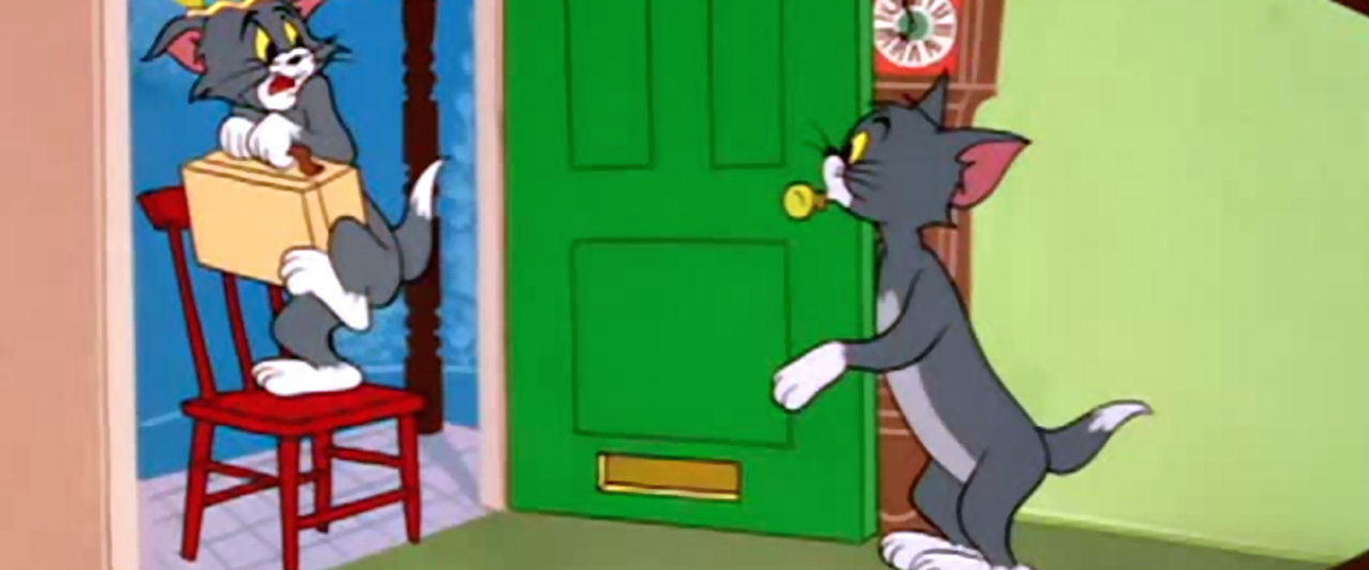 Timid Tabby backdrop