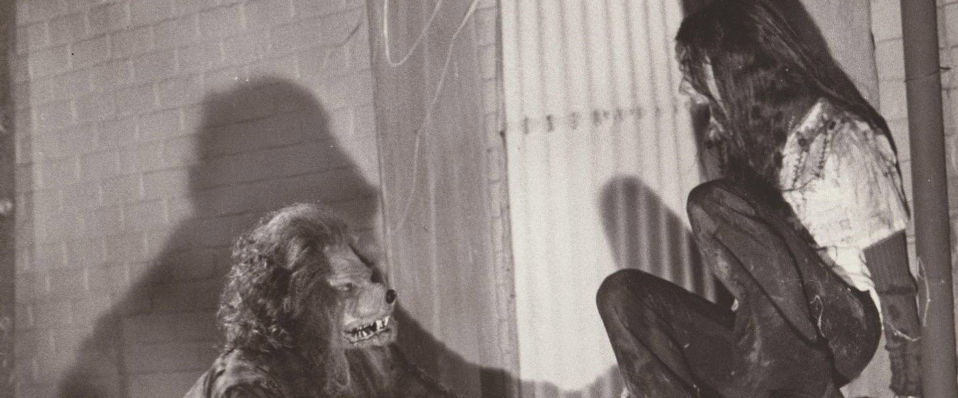 The Werewolf of Woodstock backdrop