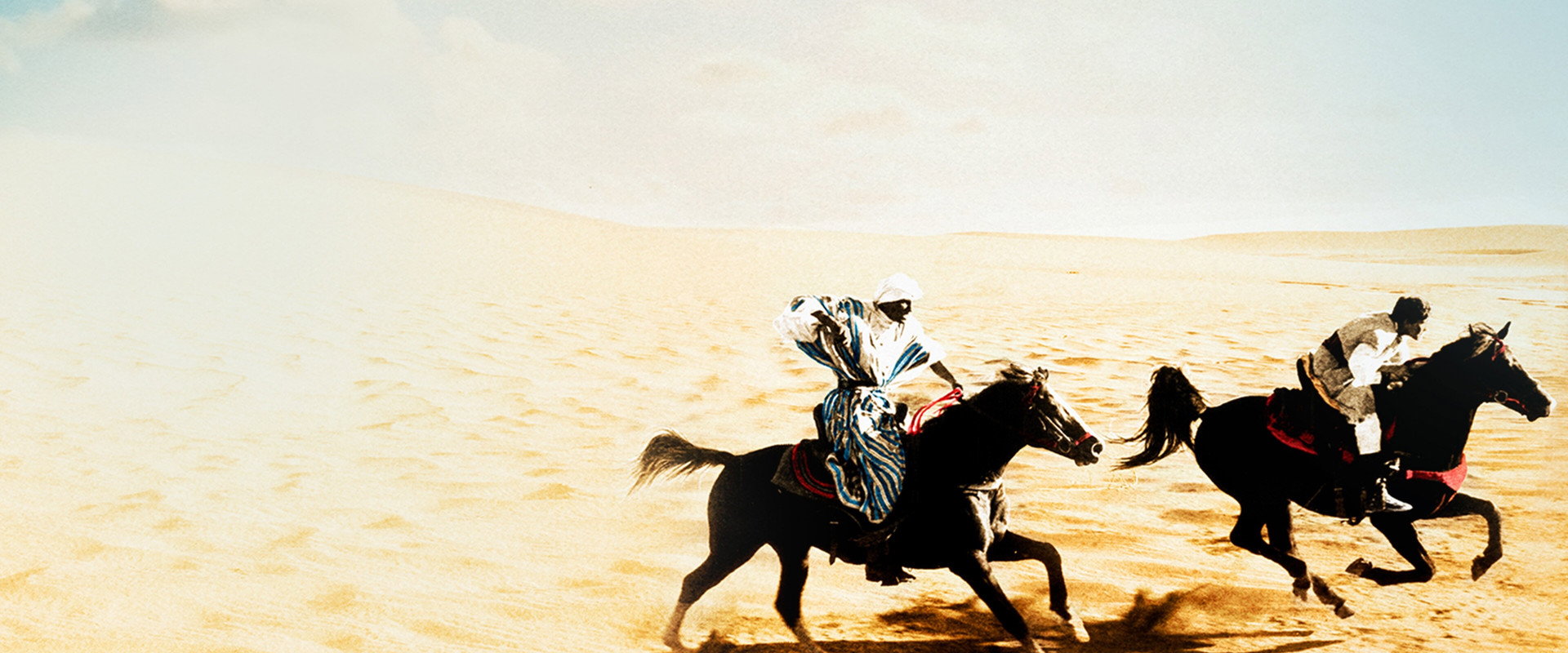 The Black Stallion Returns backdrop