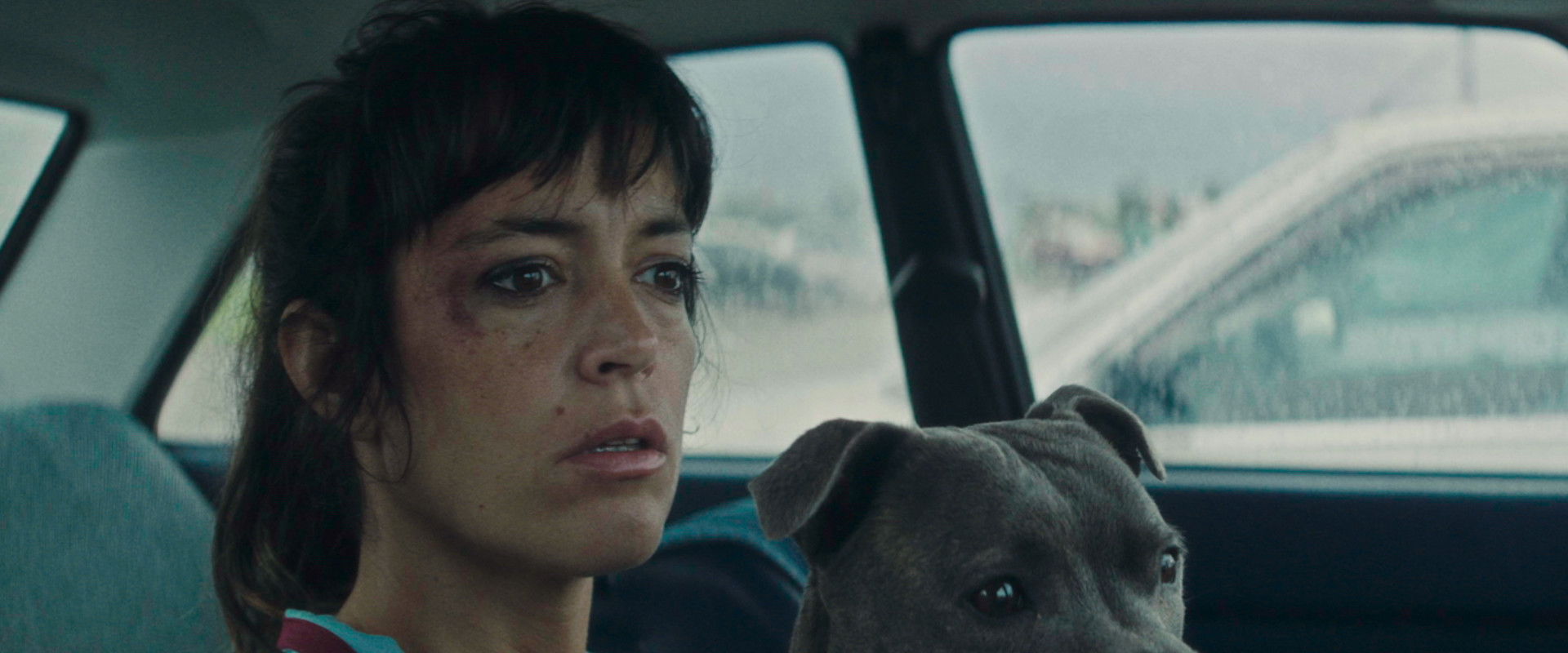 Vincent Must Die backdrop