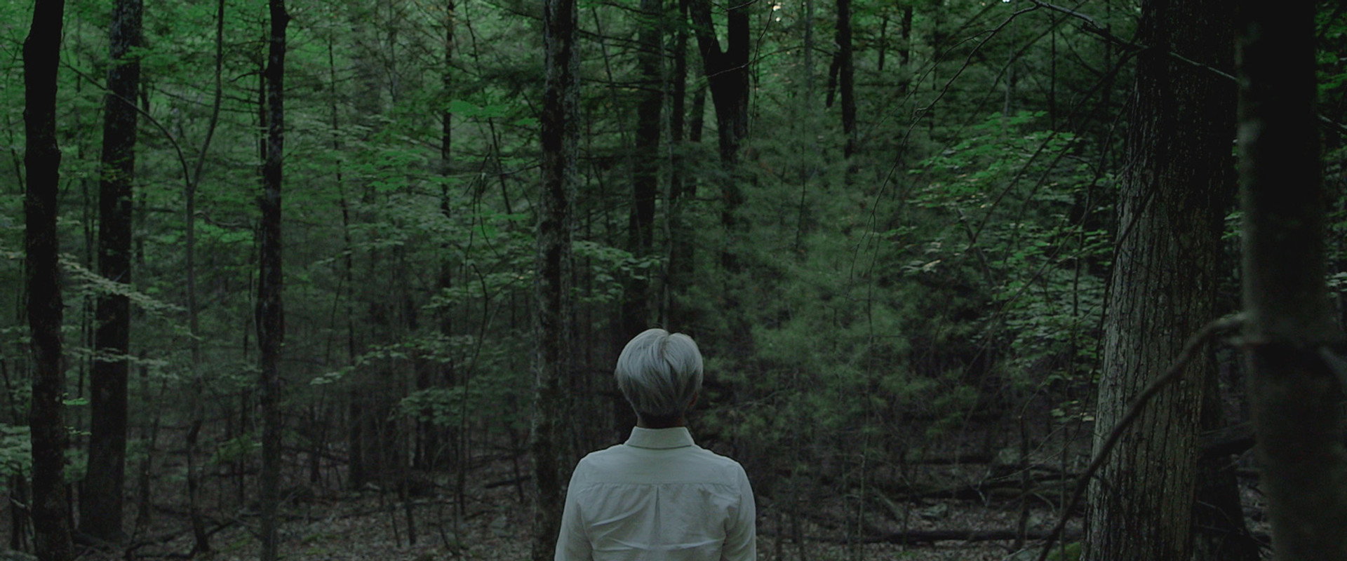 Ryuichi Sakamoto: Coda backdrop