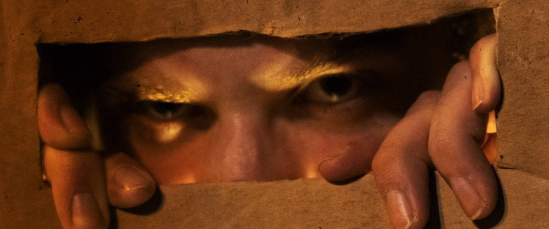 Beware the Box Folk backdrop