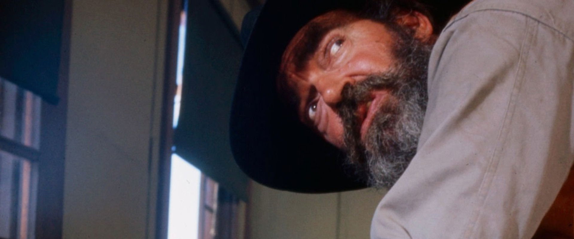 Shootout in a One-Dog Town backdrop