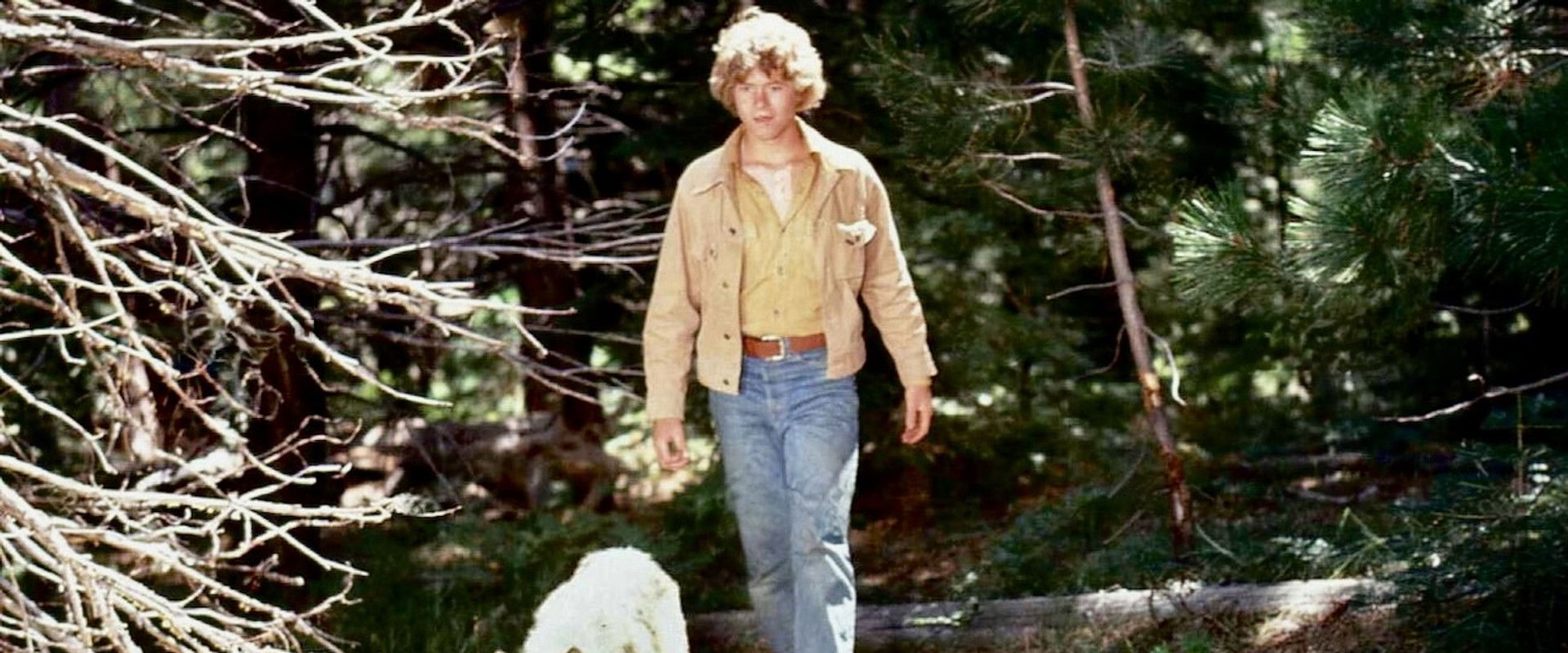 The Flight of the Grey Wolf backdrop