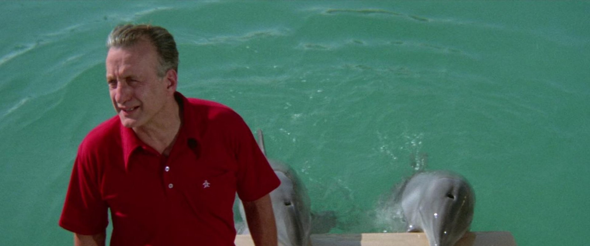 The Day of the Dolphin