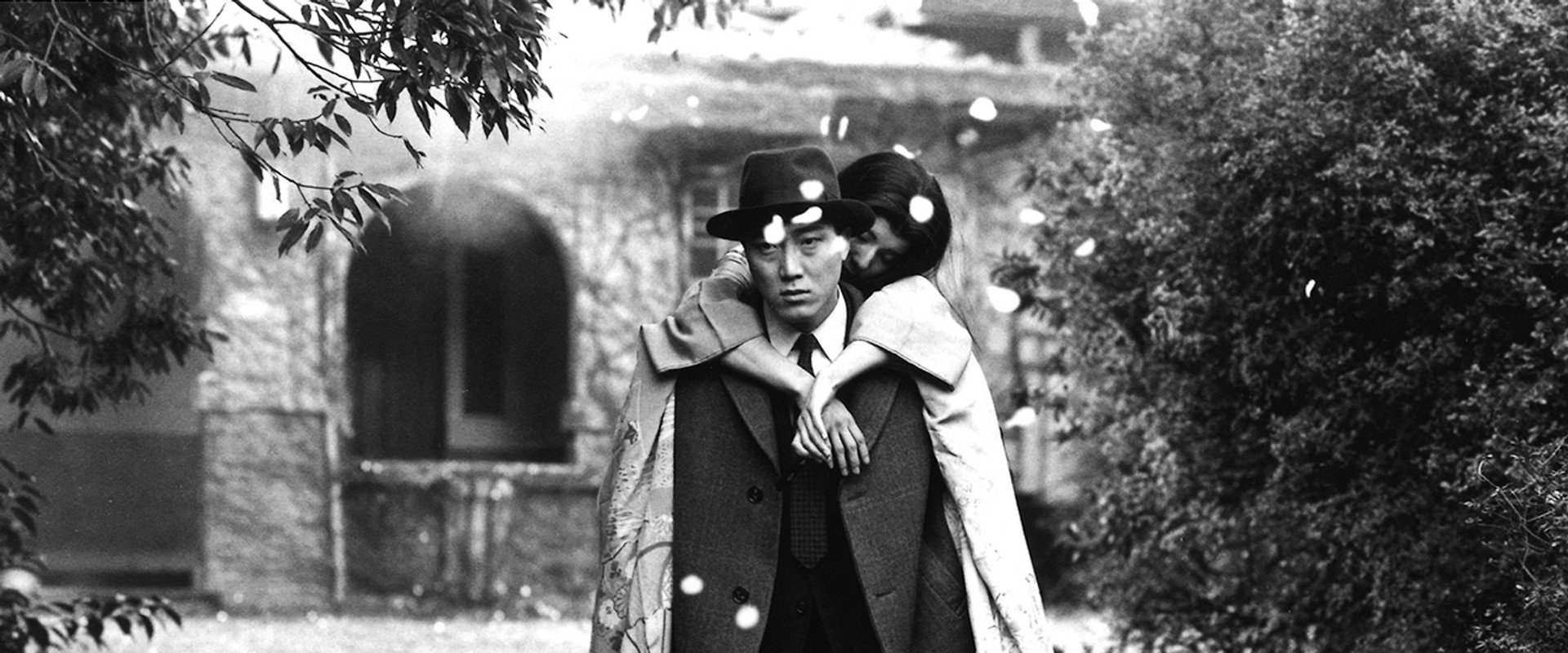 To Sleep So as to Dream backdrop