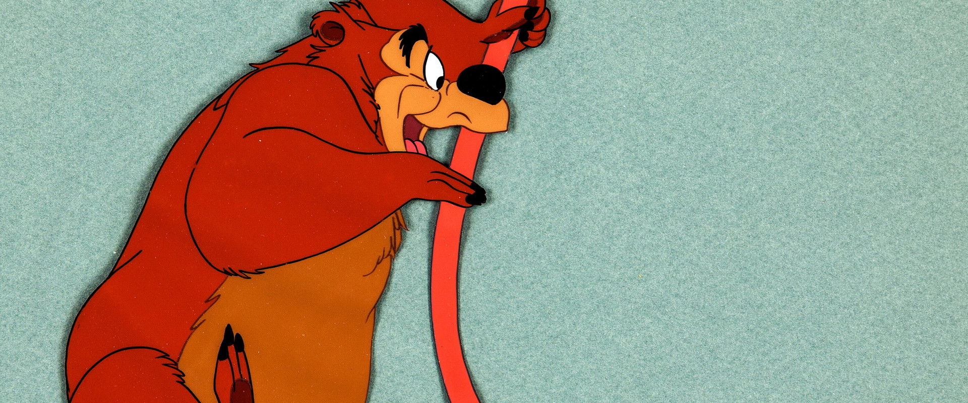 Hooked Bear backdrop