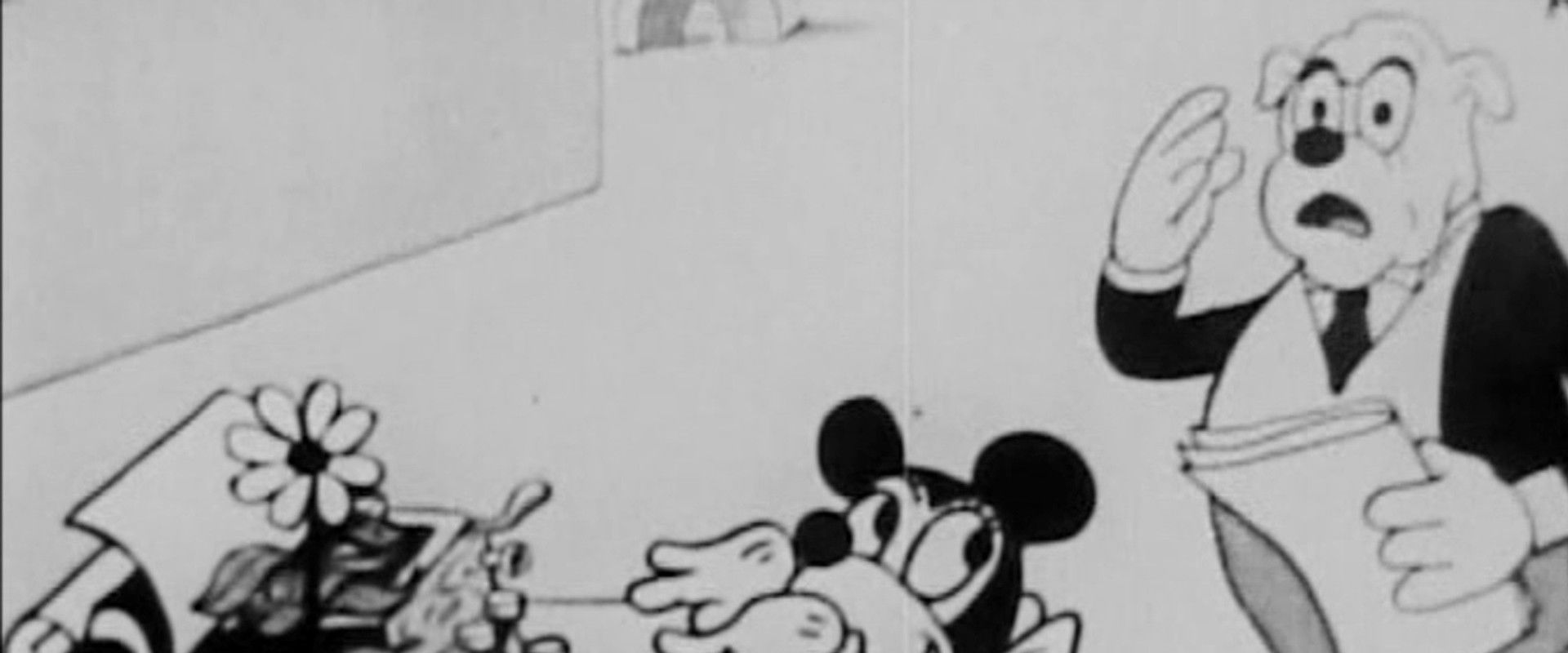 The Office Boy backdrop