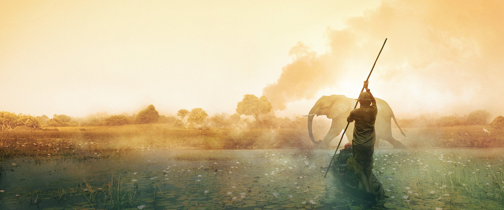 Into the Okavango backdrop