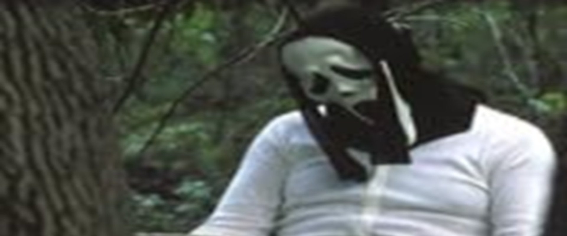 The Bogus Witch Project