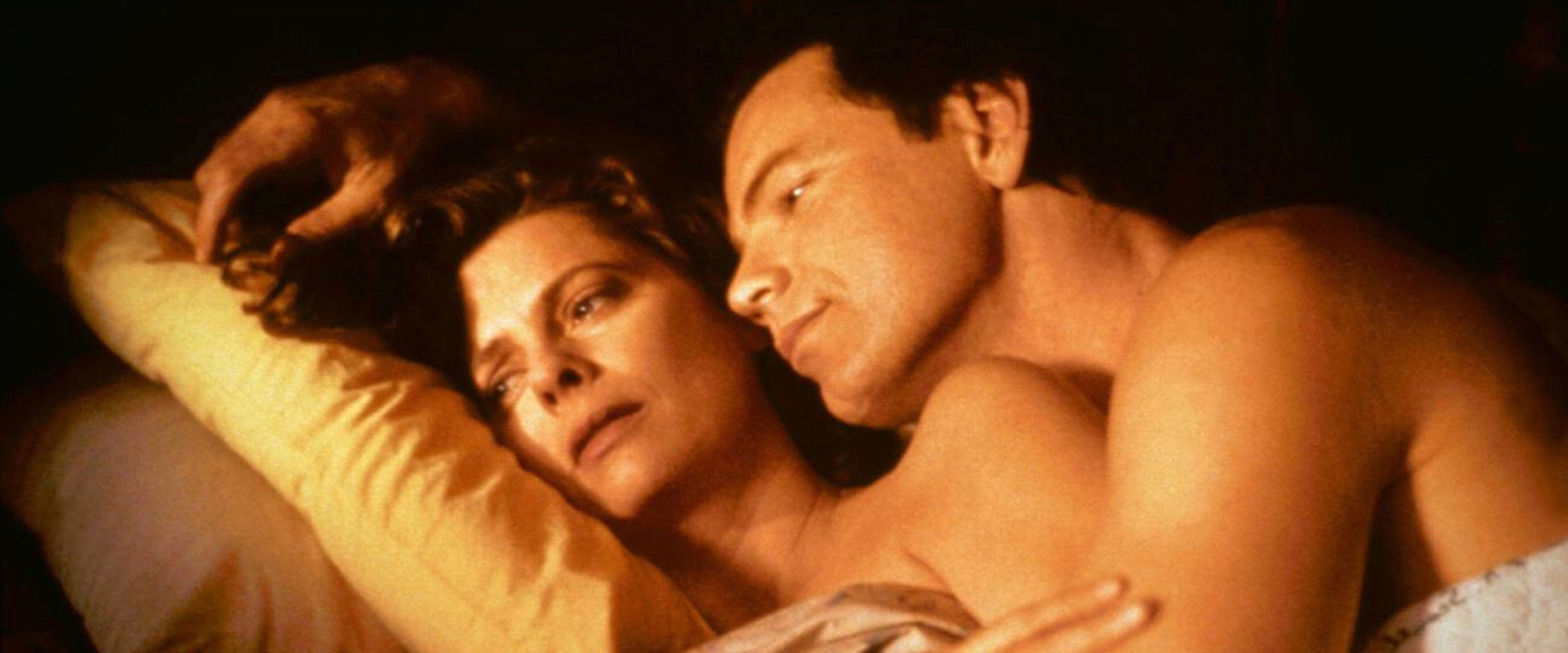 The Companion backdrop