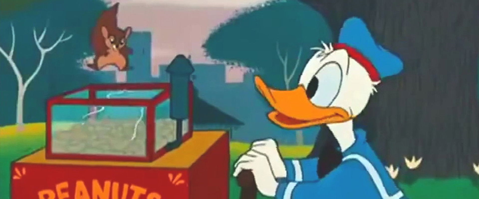 The Flying Squirrel backdrop