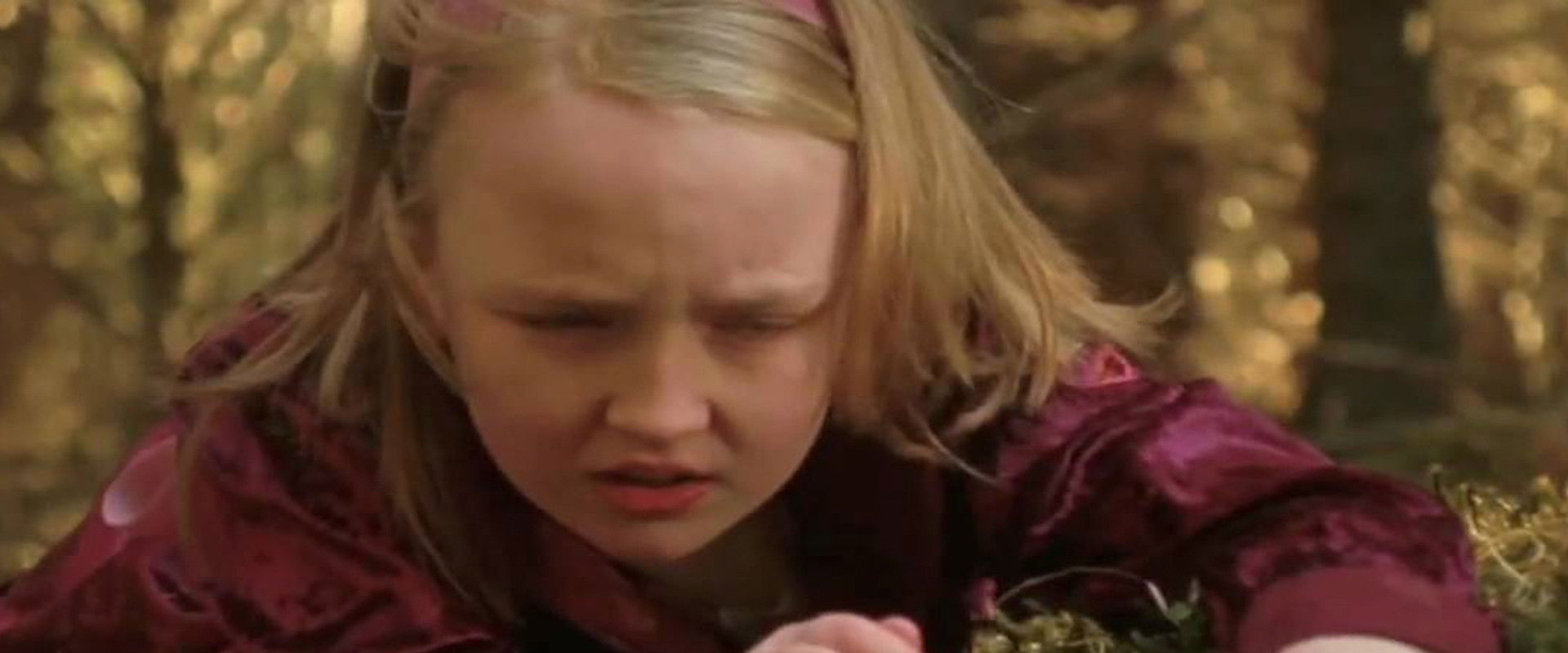 The Faeries of Blackheath Woods backdrop