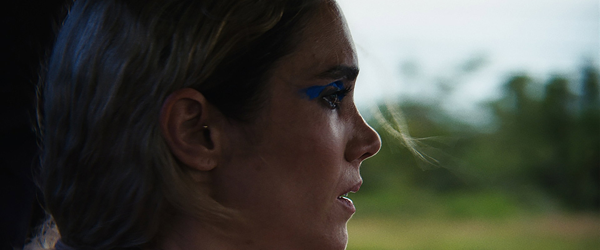 Charliebird backdrop