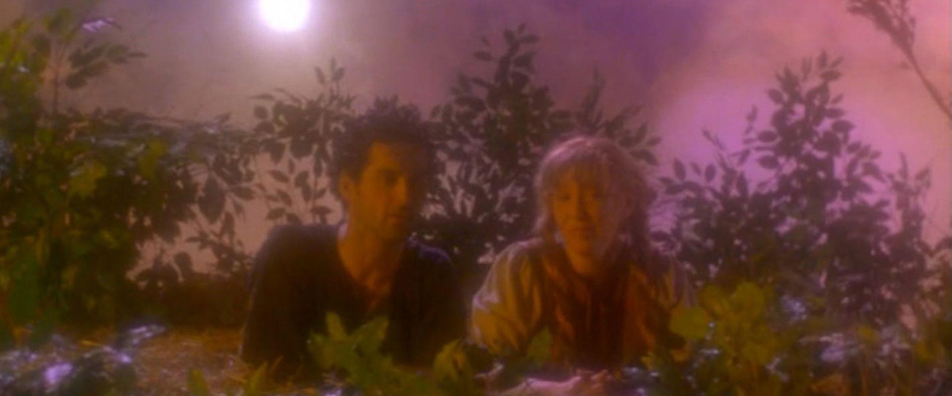 Twilight of the Ice Nymphs backdrop