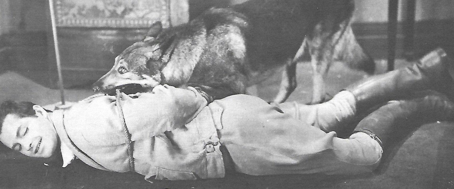 The Adventures of Rex and Rinty backdrop