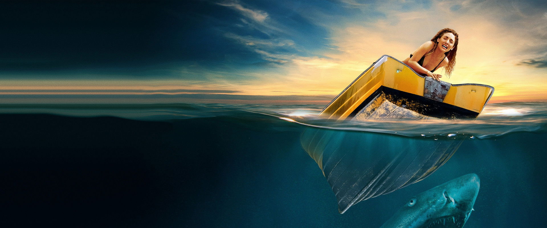 Shark Waters backdrop