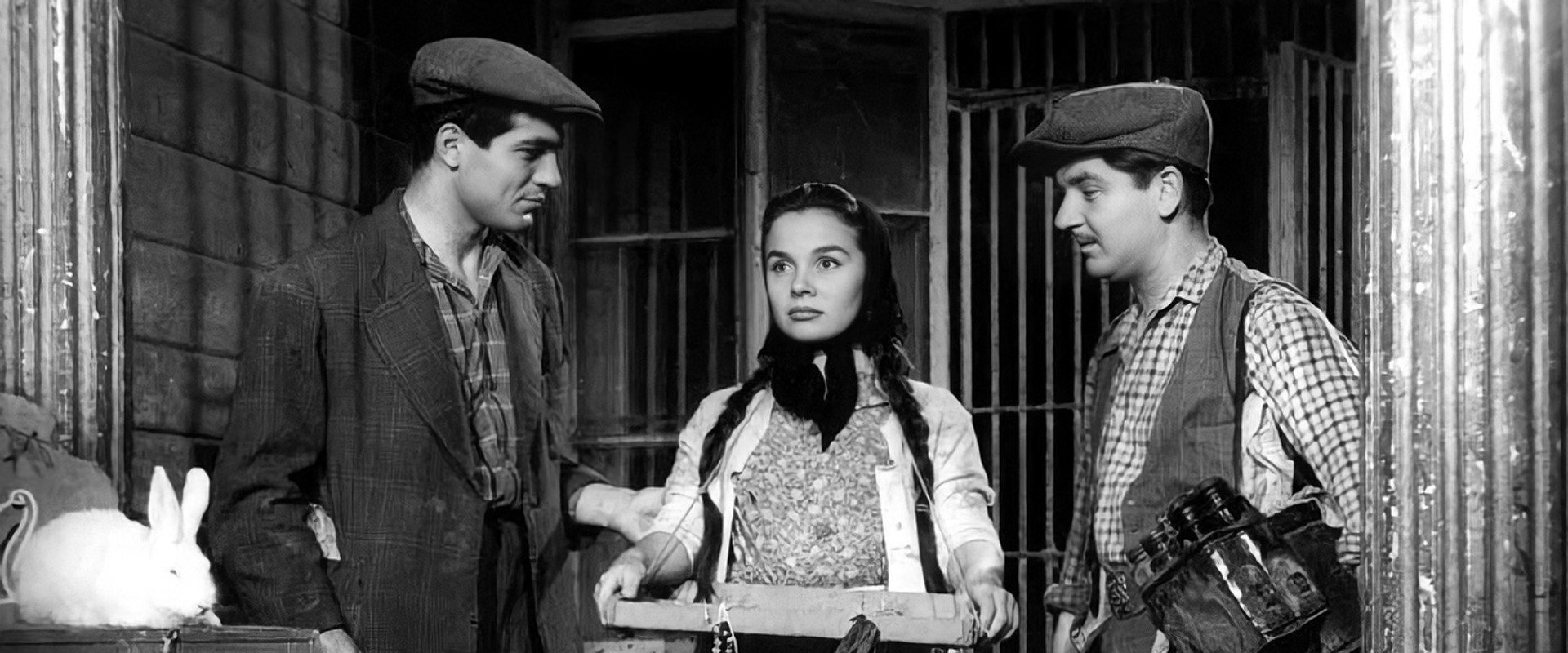 Three Friends backdrop