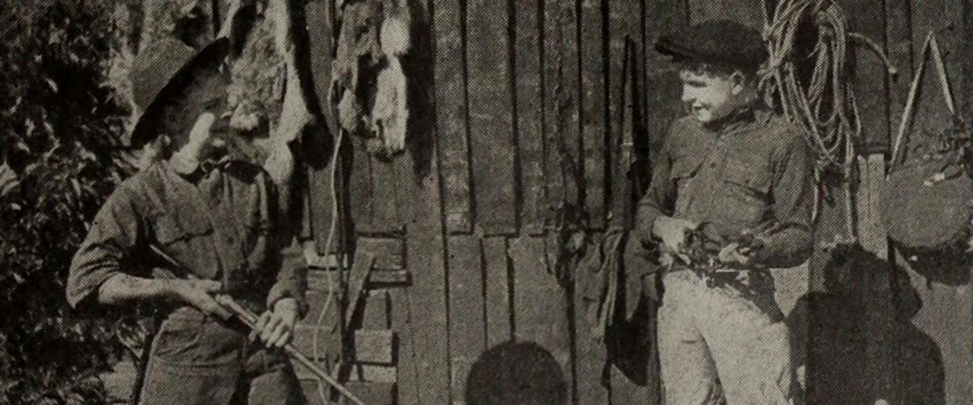 Outwitting the Timber Wolf backdrop