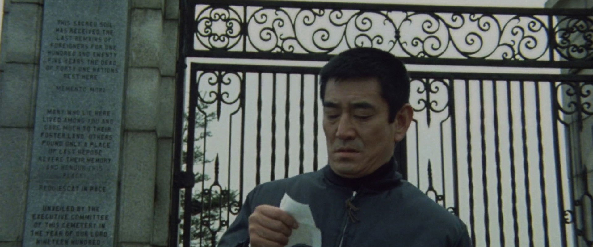 Winter's Flower backdrop