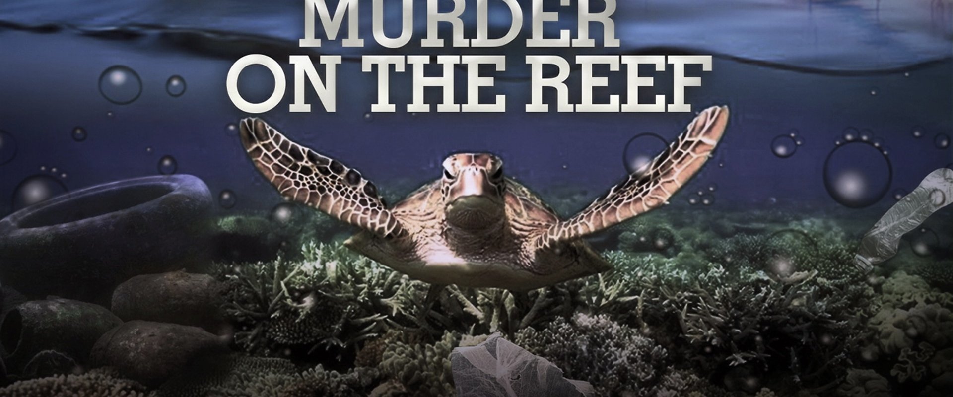 Murder on the Reef backdrop