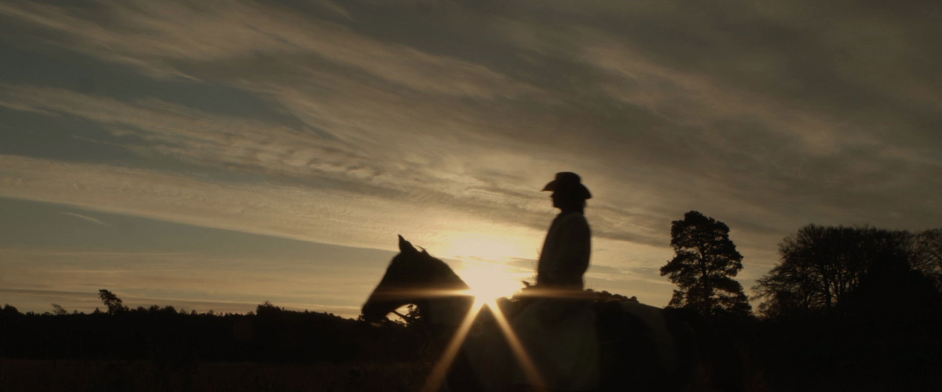 Toxteth Cowboy backdrop