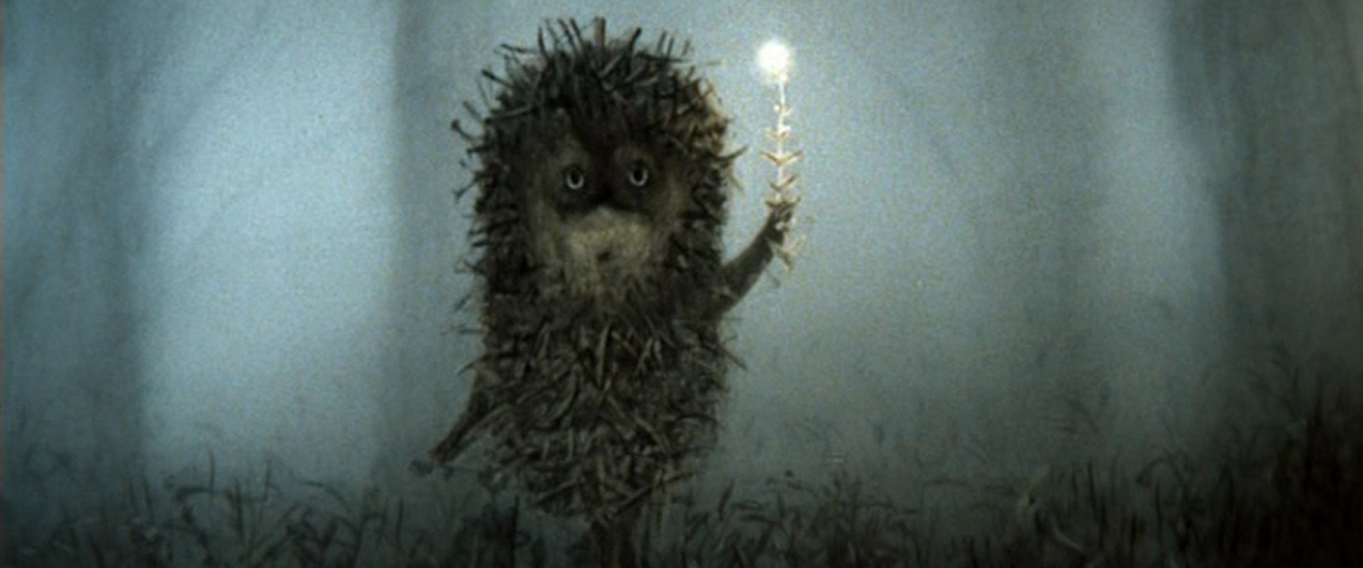 Hedgehog in the Fog backdrop