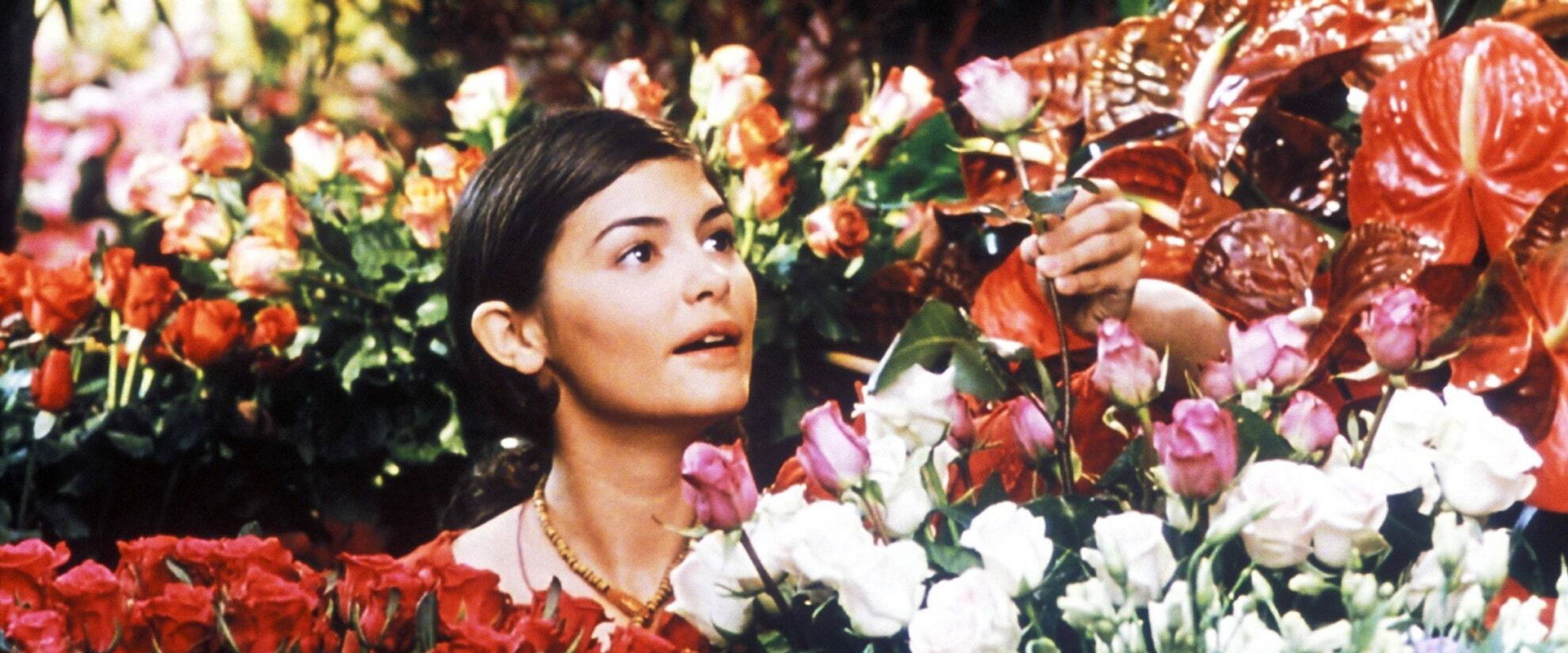 He Loves Me… He Loves Me Not backdrop