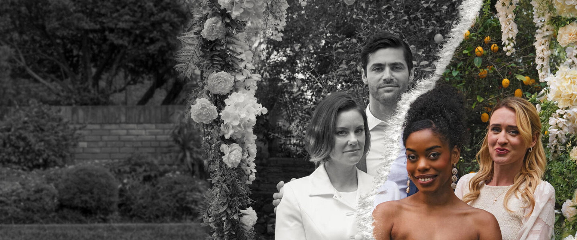 Sister Wife Murder backdrop