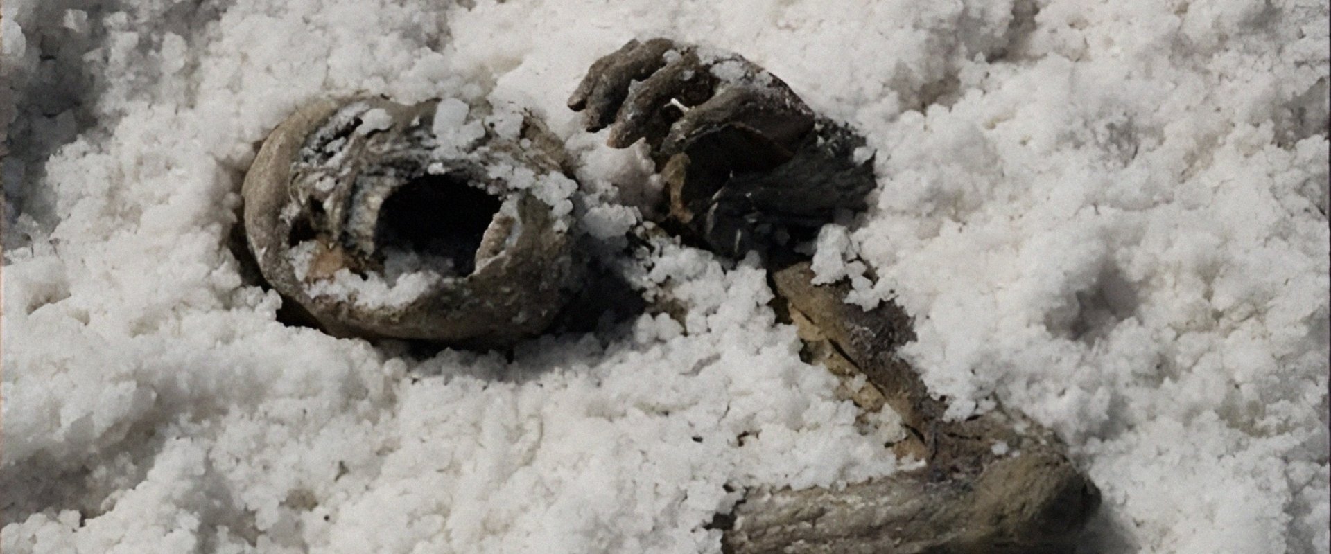 Under the Salt backdrop