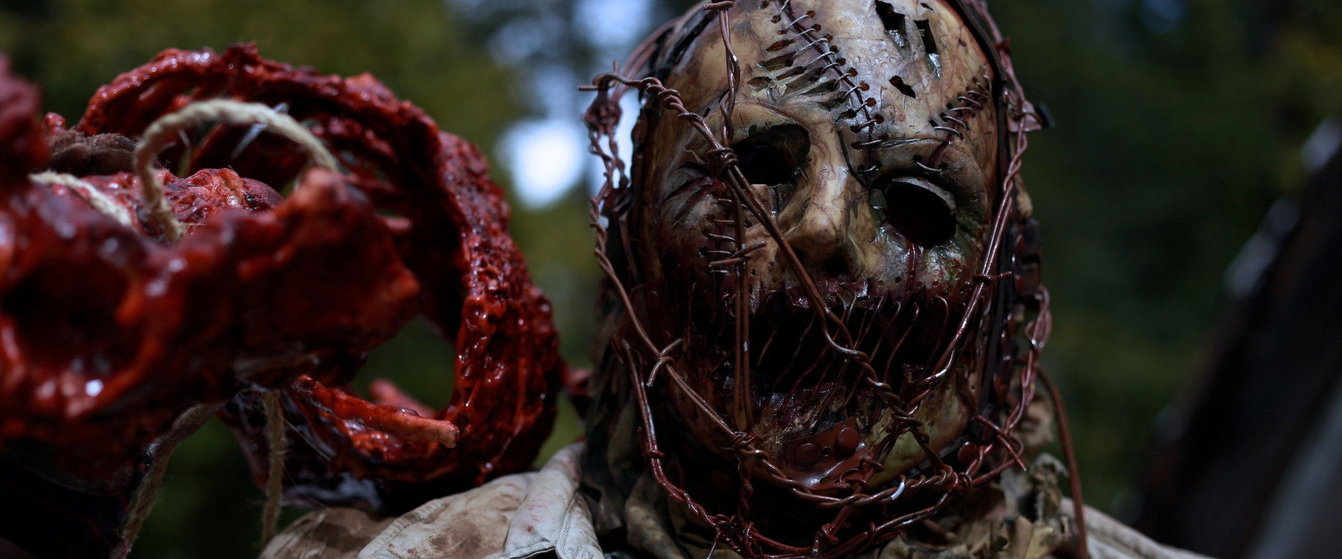 Playing with Dolls backdrop