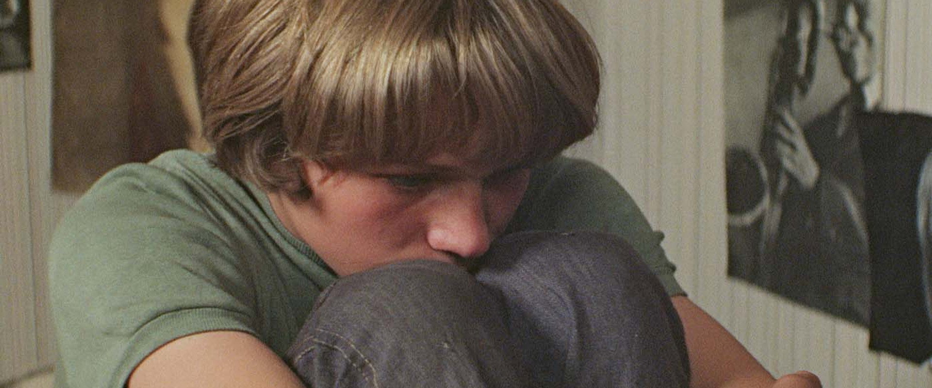 Woodpeckers Don't Get Headaches backdrop