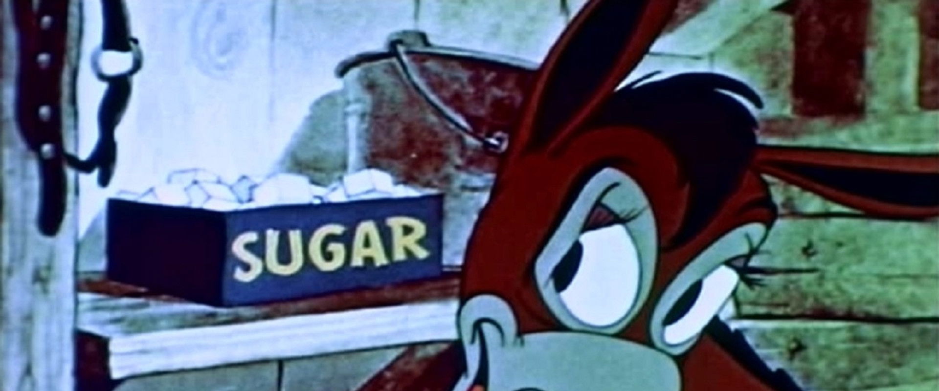 Vitamin Hay backdrop