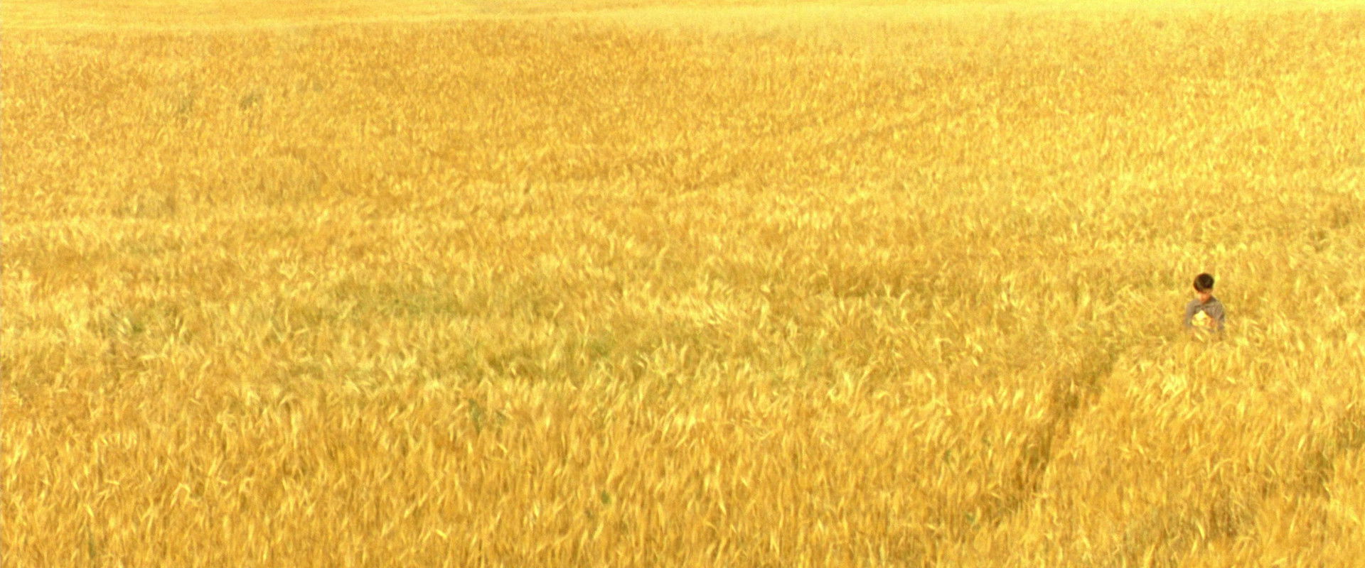 The Reflecting Skin backdrop