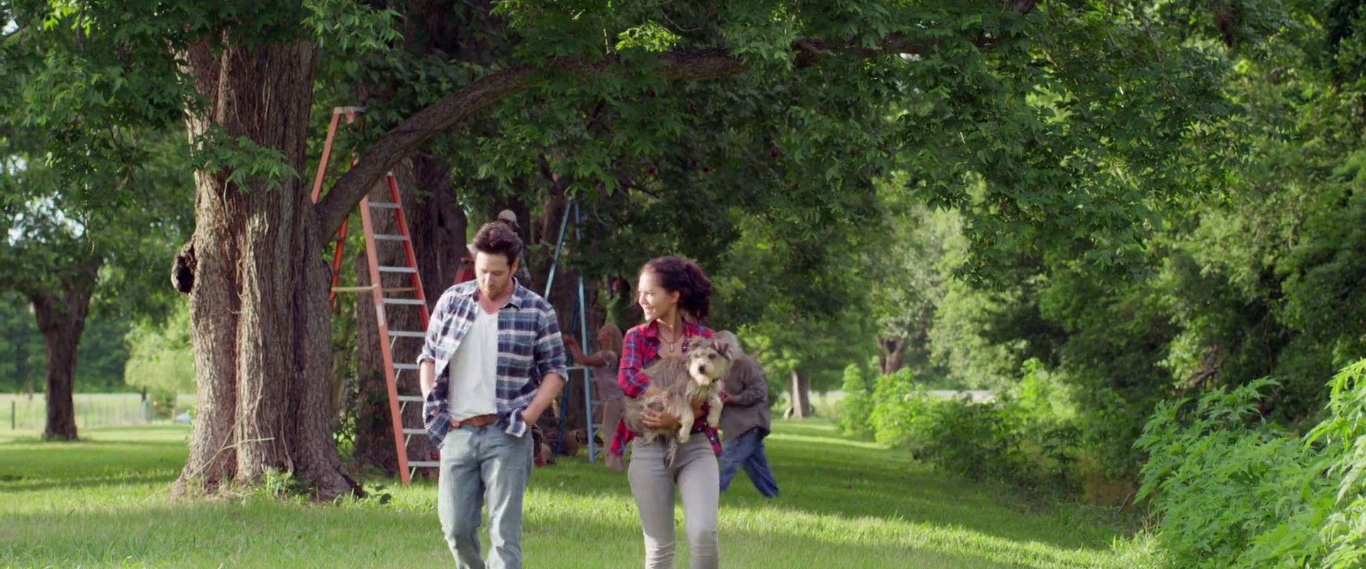 Night of the Wild backdrop