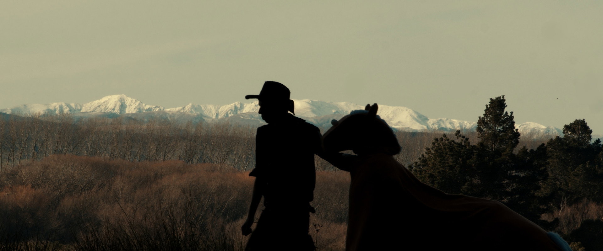 The True Story of Billy the Horse backdrop